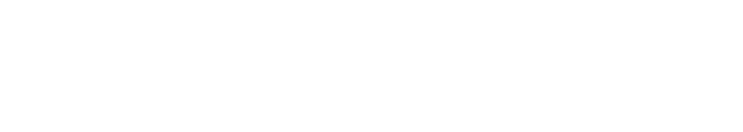 polaris logo