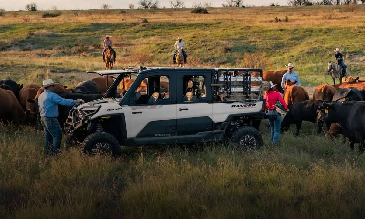2025 Polaris Ranger Crew XD 1500 NorthStar Edition-2
